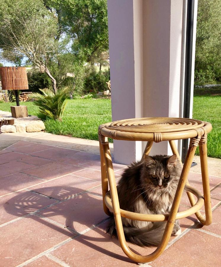 La Casa Menorca Ξενοδοχείο Ferreries Εξωτερικό φωτογραφία